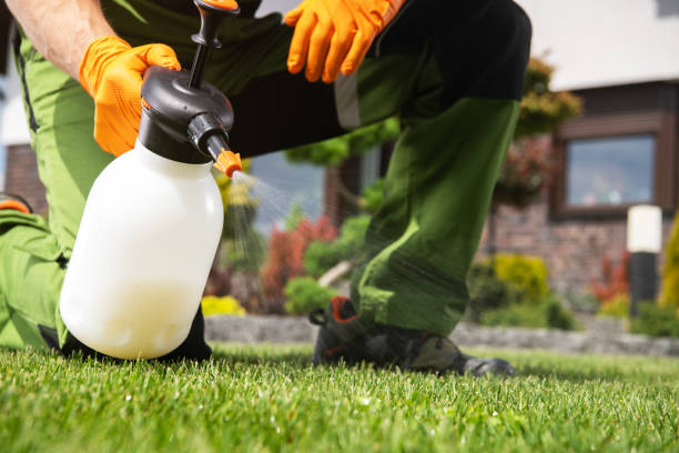 Trusted Moriches, NY Pest Control Experts