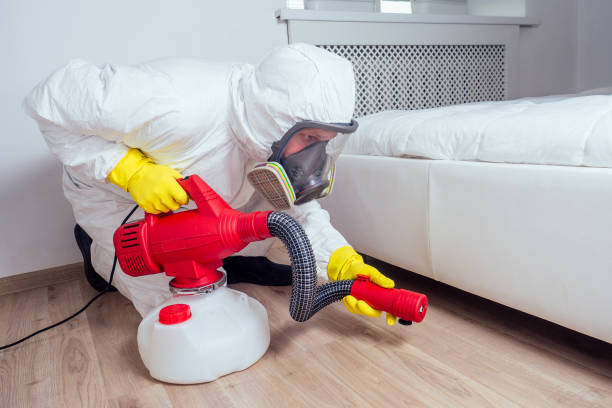 Best Best Pest Control Companies  in Moriches, NY