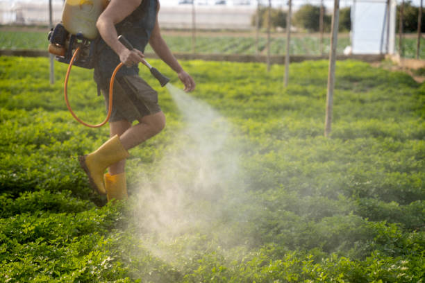 Best Pest Removal Services  in Moriches, NY