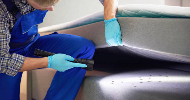 Best Best Pest Control Companies  in Moriches, NY